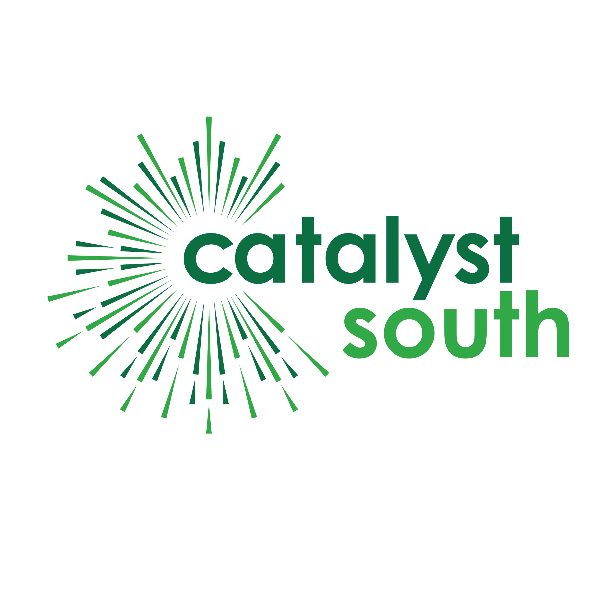 Catalyst South logo